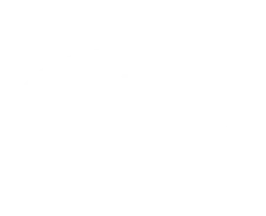 Land-Rover
