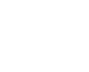 SSangYong